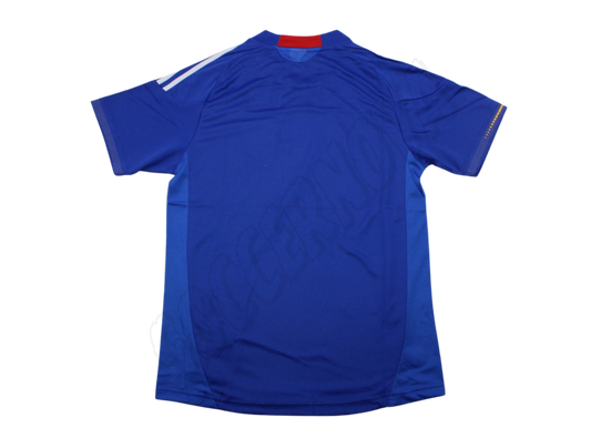 Camiseta de local de Japón 2010/11