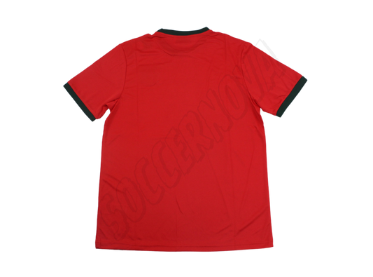 Camiseta local de Portugal 1966/69