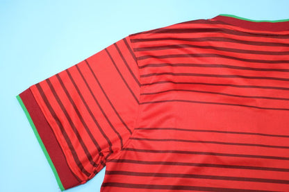 Maillot Domicile Portugal 2014/15