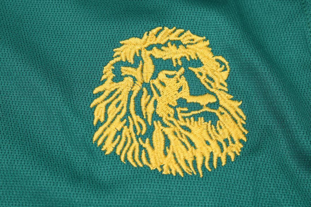 Maillot Domicile Cameroun 2002