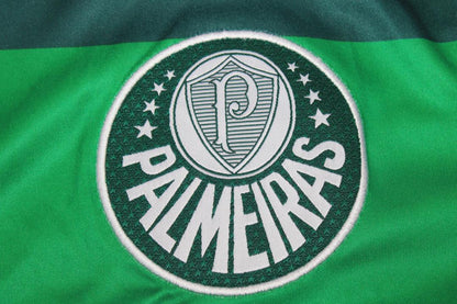 Maillot Third Palmeiras 2010
