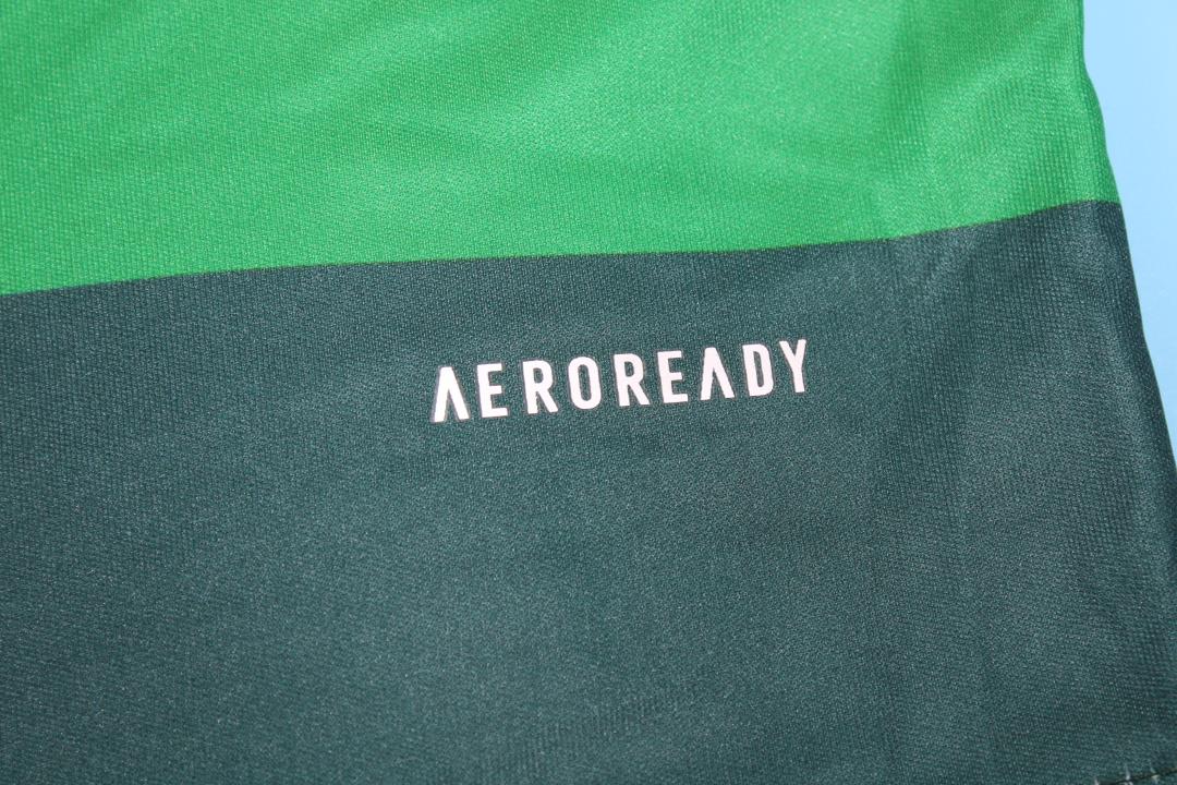 Maillot Third Palmeiras 2010