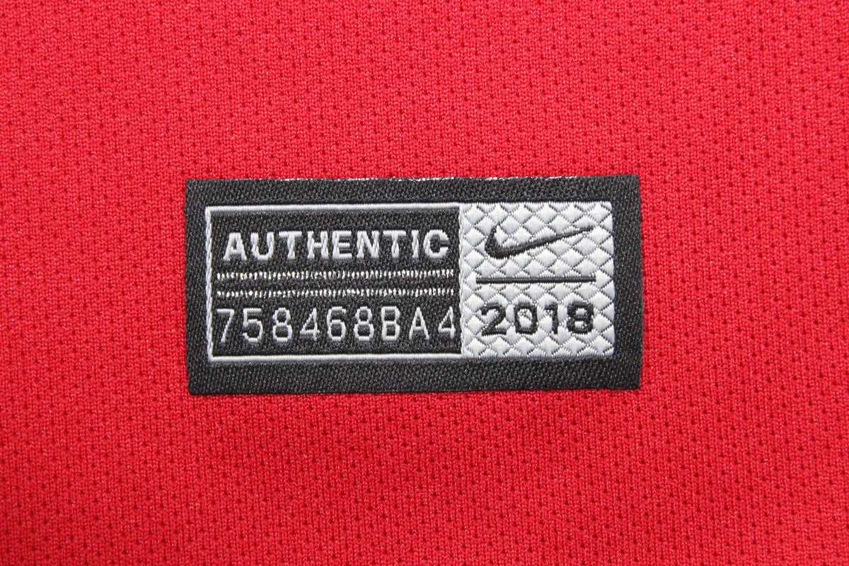 Maillot domicile Portugal 2018/19