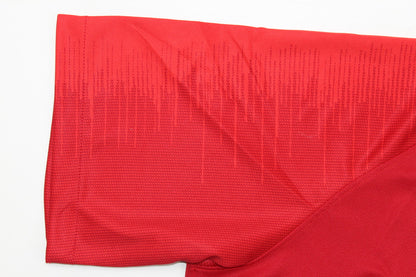 Maillot domicile Portugal 2018/19