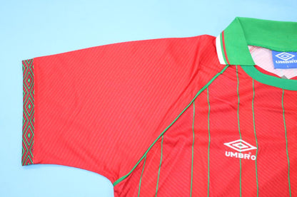 Maillot domicile Pays de Galles 1994/96