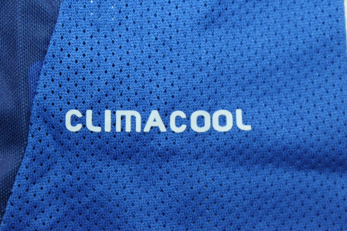 Japan 2010/11 Home Shirt